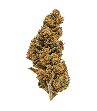 Fleur CBD Gelato