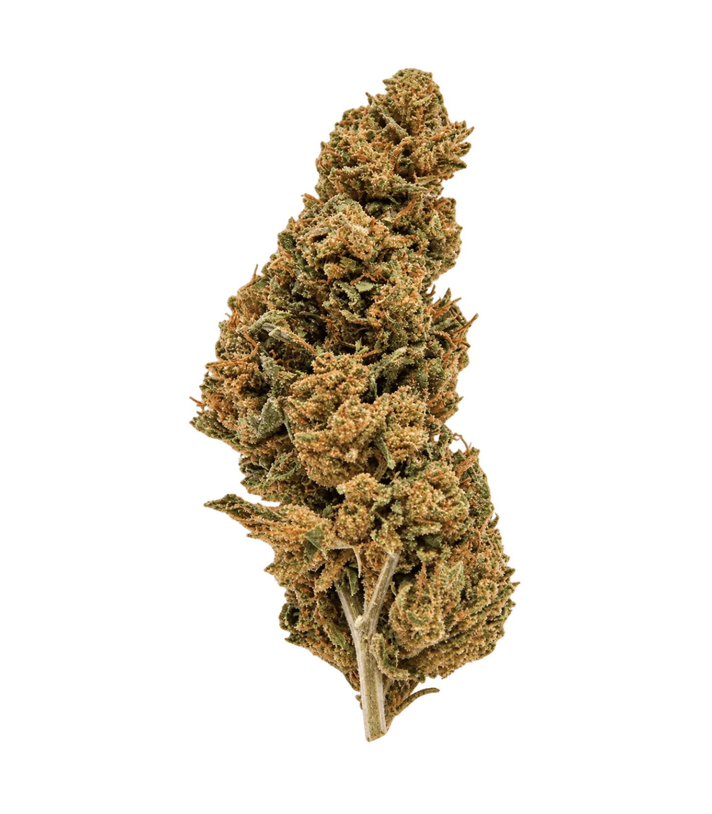 Fleur CBD Gelato