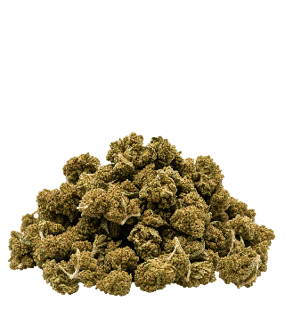 Fleur Orange Bud small buds