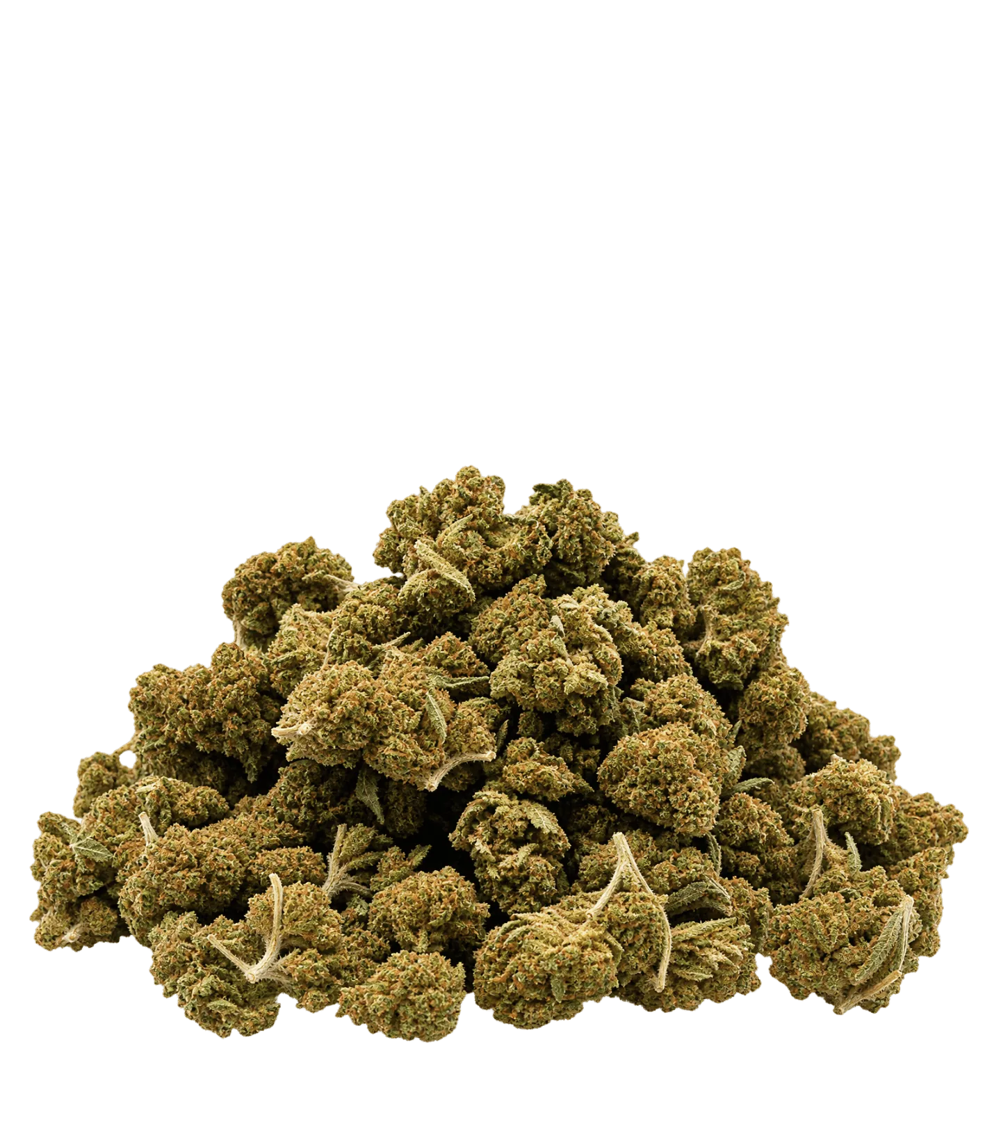 Fleur Orange Bud small buds