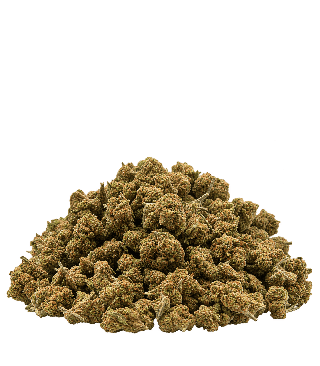 Fleur small buds Fruit cake
