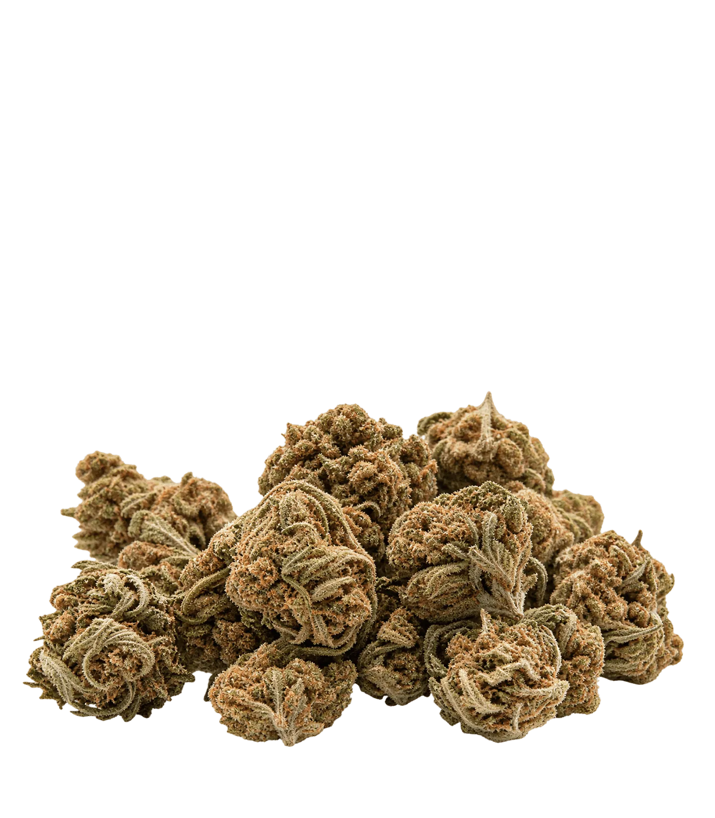 White Widow small buds