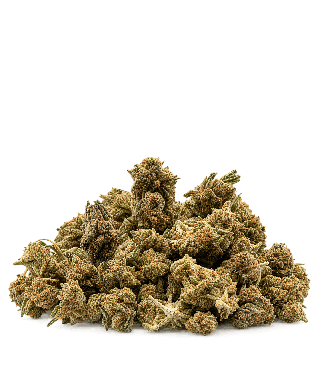 Fleurs small buds critical