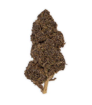 Fleur CBD Purple punch