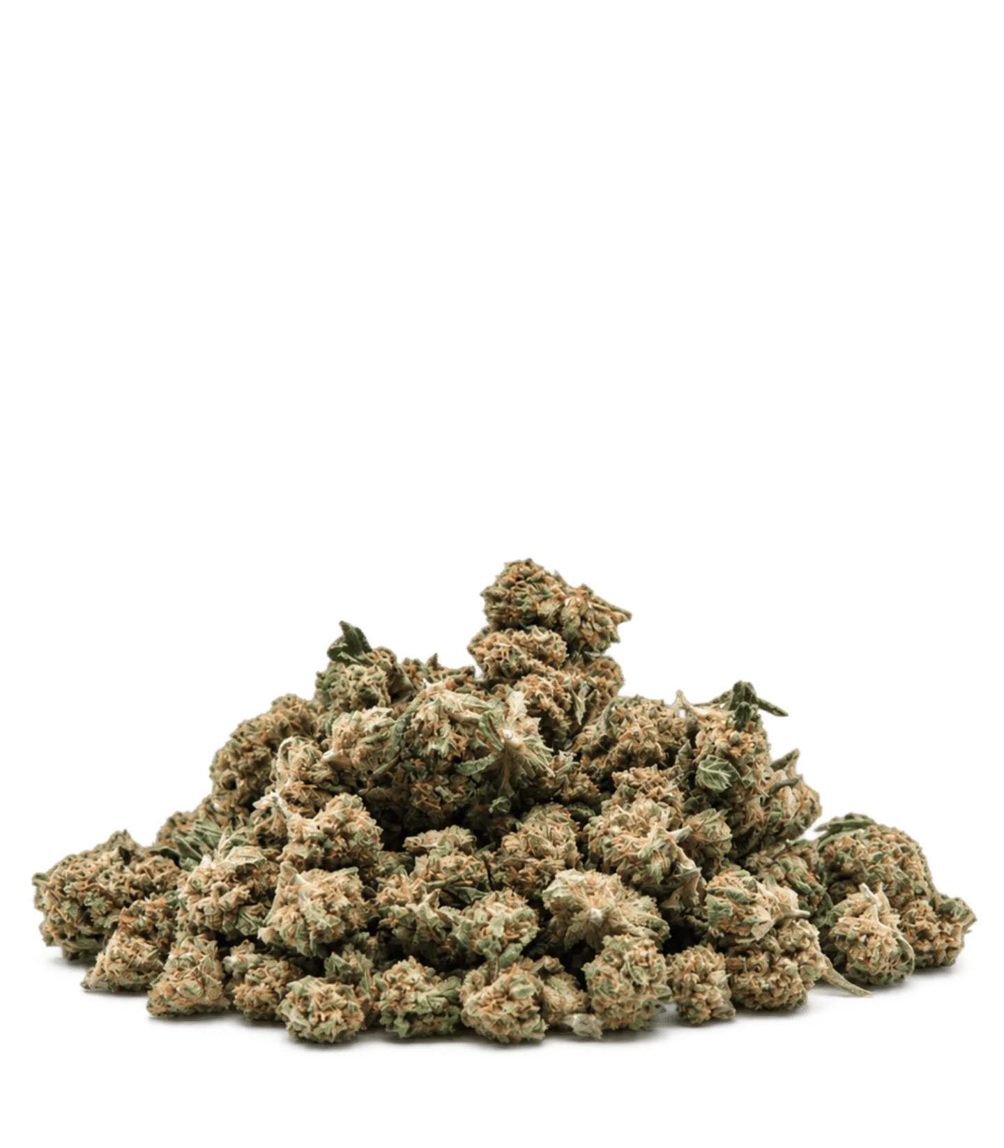 Small buds de fleur CBD Jack Herer : petites têtes rondes vertes aux
pistils orange foncé