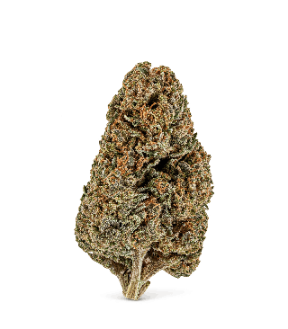 Fleur CBD Super Silver Haze