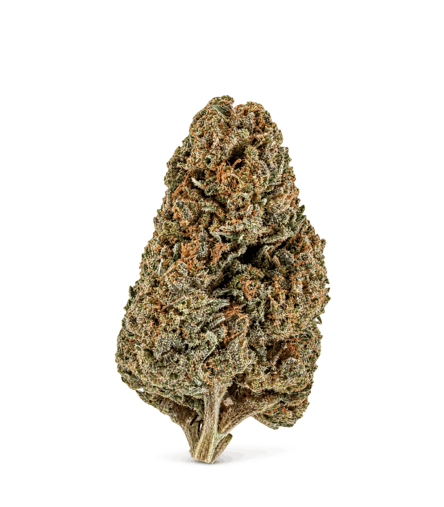 Fleur CBD Super Silver Haze