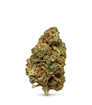 Fleur Harlequin CBD