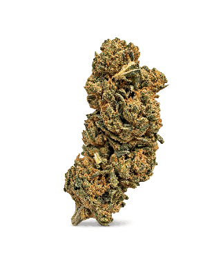 Fleur Amnesia CBD