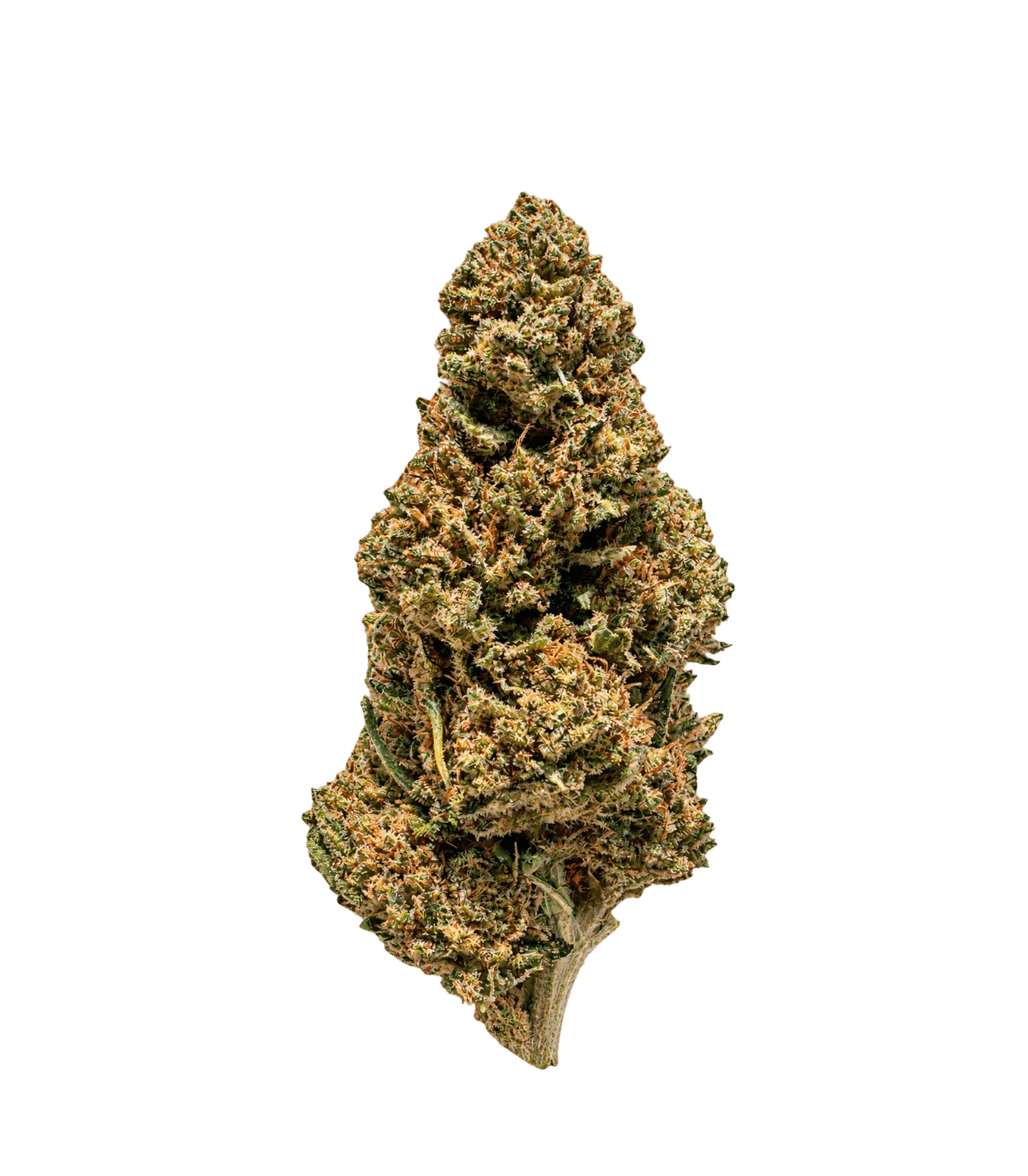 Gorilla Glue CBD
