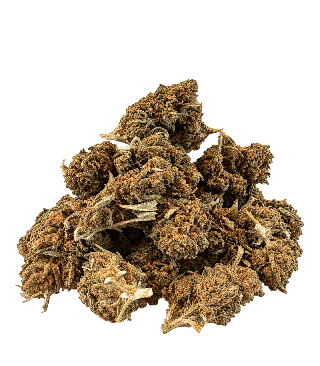 Tas de small buds d'Orange Bud CBD de tailles variées, vert brun et couvertes de pistils orange