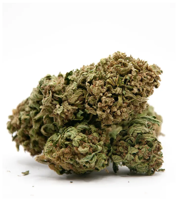 Fleur Cannatonic CBD - Vente de cannabis thérapeutique