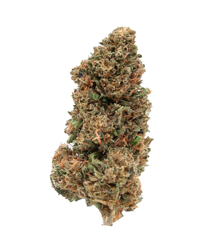 Fleur CBD CBDV Orange Bud