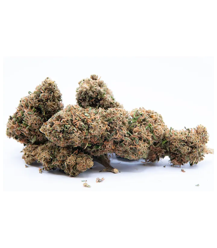Orange Bud CBD