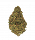 fleur cbd fedtonic - fleur de cannabis thérapeuthique
