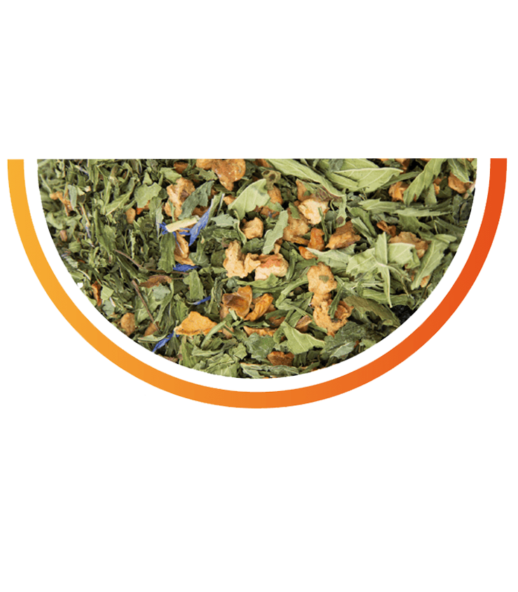 tisane chanvre CBD VITALITE