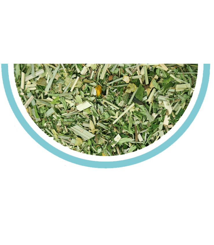 tisane cbd zen camomille