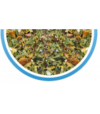 Infusion chanvre SOLEIL DES ILES