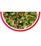 Thé glacée chanvre FRAMBOISE