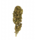 Fleur CBD Harlequin Outdoor