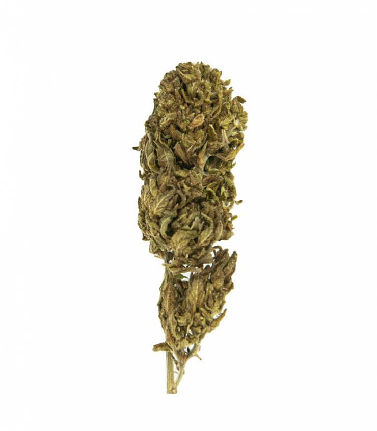 Fleur CBD Harlequin Outdoor