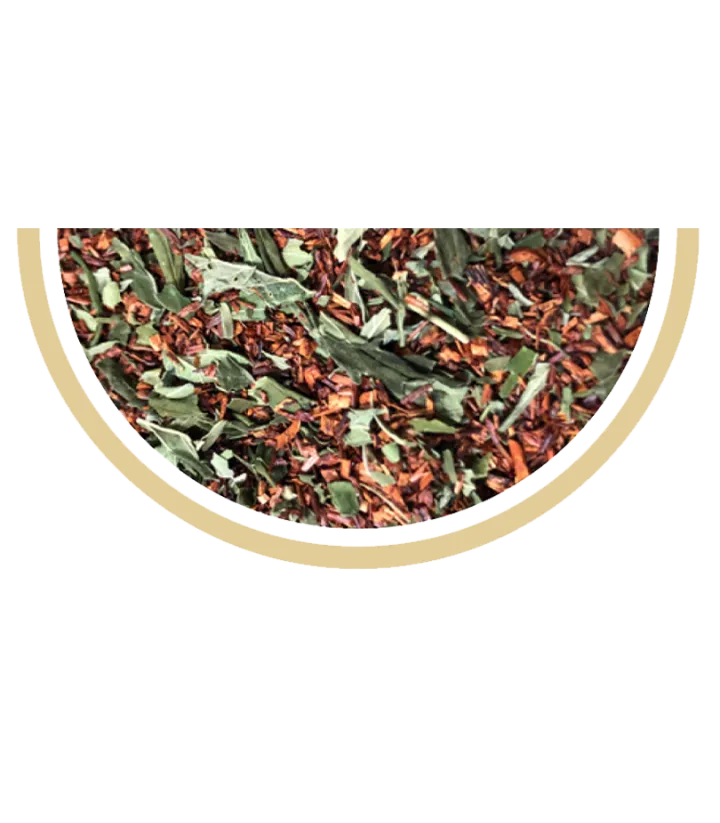 Rooibos Pop CBD vanille