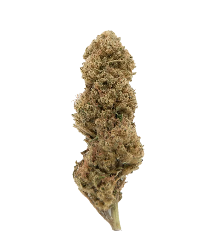 Fleur CBD Française Lemon Haze