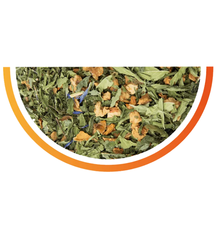 tisane chanvre CBD VITALITE
