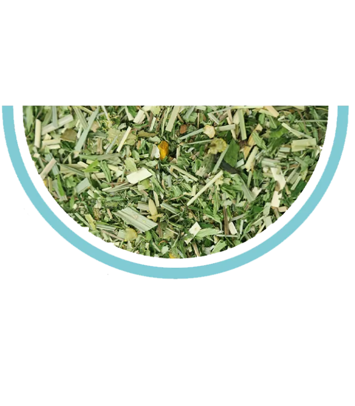 tisane cbd zen camomille