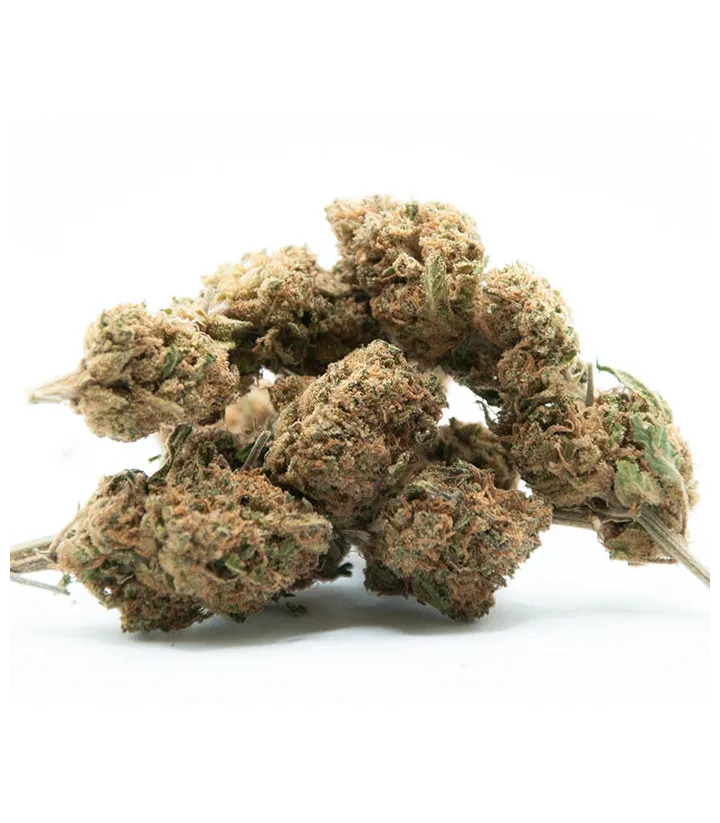 Fleurs CBD puissantes