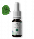 Huile CBD 10% menthe poivrée