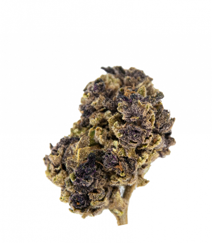 Purple Punch CBD