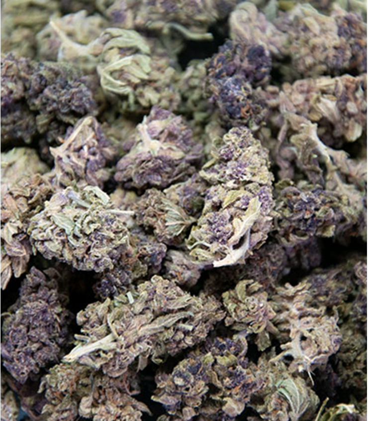 fleur Purple Punch CBD