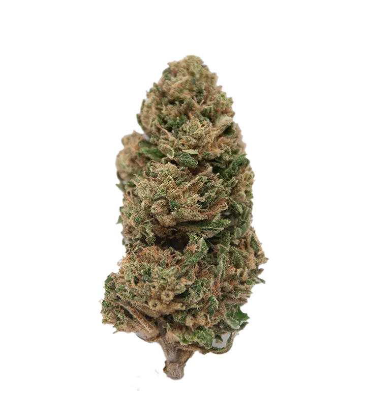 Amnesia fleur CBD