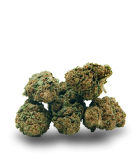 Fleurs CBD Super Skunk