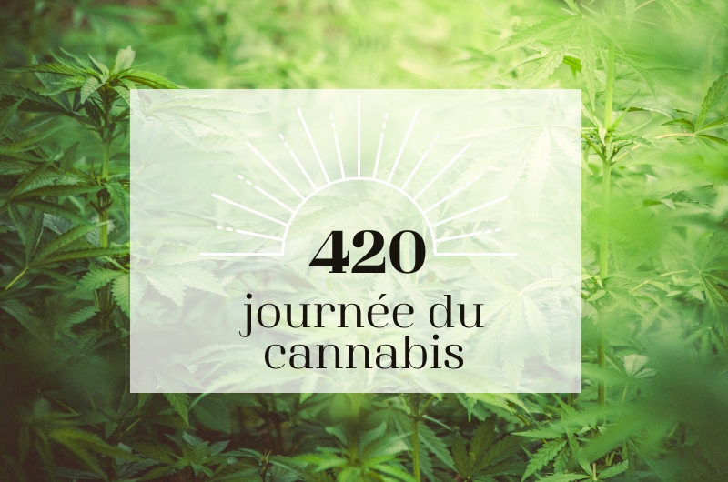 420 journee du cannabis