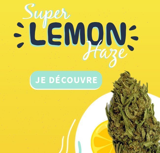 Super Lemon Haze CBD