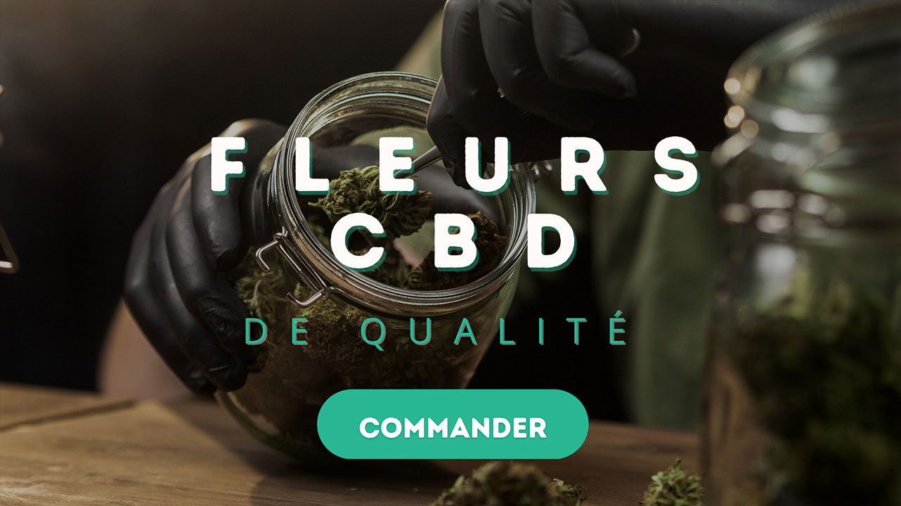 ventes fleurs cbd qualite vaporisation