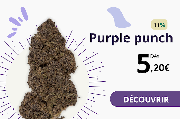 Purple Punch cbd shop