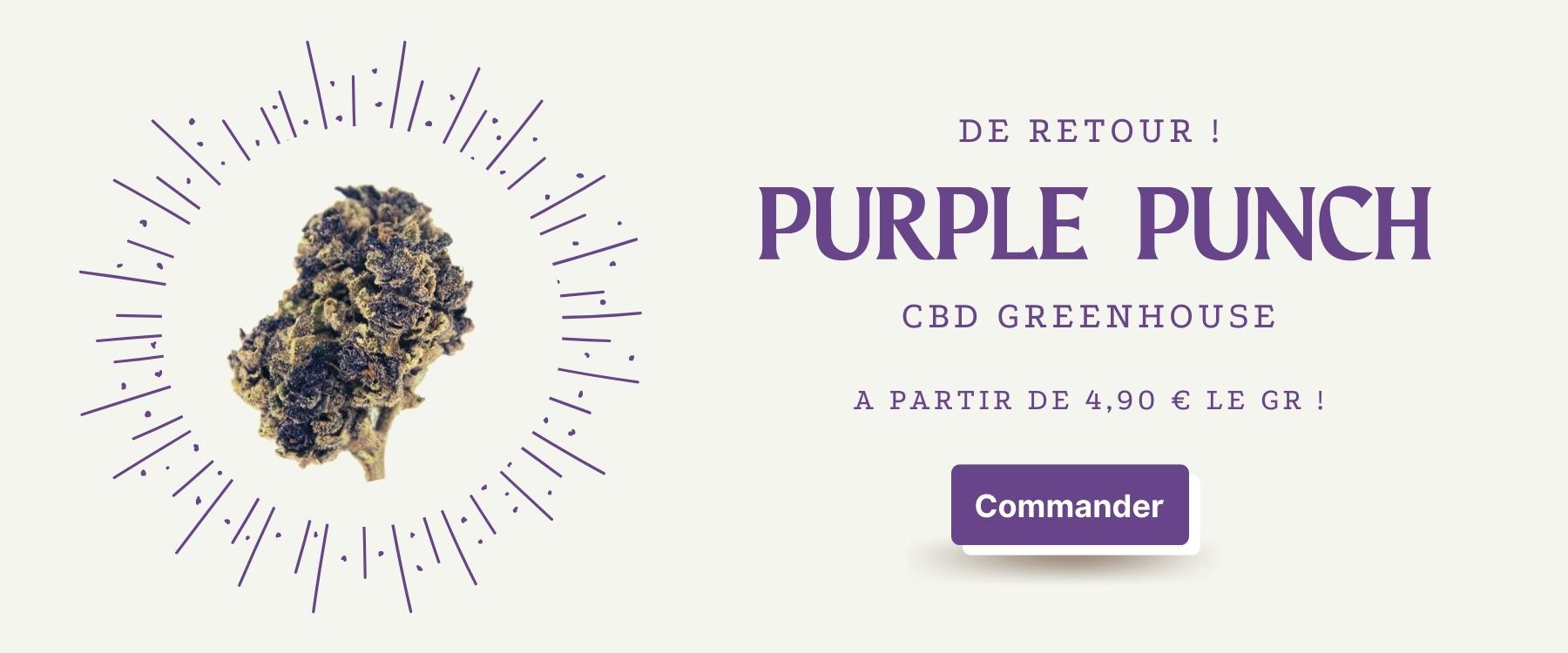 boutique CBD purple punch