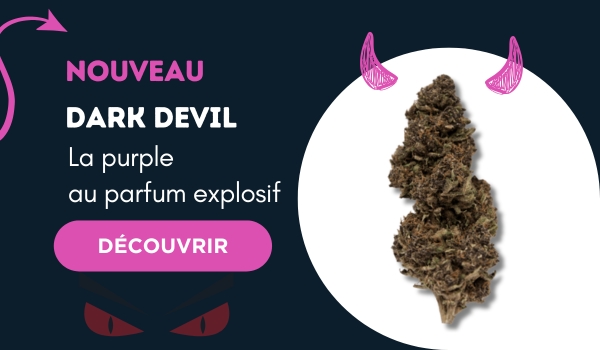 Fleur Dark Devil purple