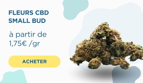 Fleurs CBD small buds