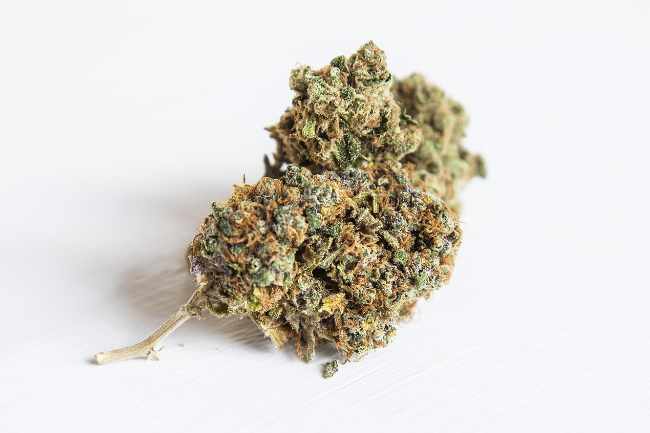 Fleurs CBD premium livrées à Paris