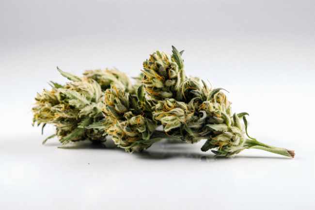 Fleur CBD Outdoor en macro sur fond blanc, plus aérée et naturelle.