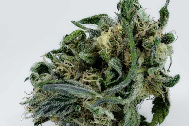 Fleurs CBD premium livrées à Rouen