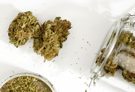Fleurs de cannabidiol (CBD)