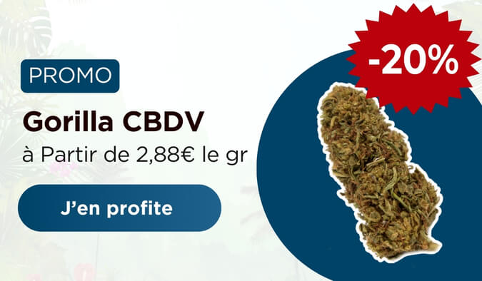 Promo gorilla CBDV