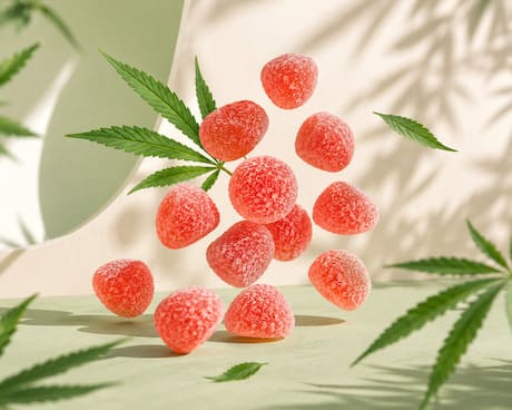 Gummies pour tous type de consommateurs