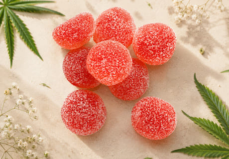 Gummies CBD parfum pastèque