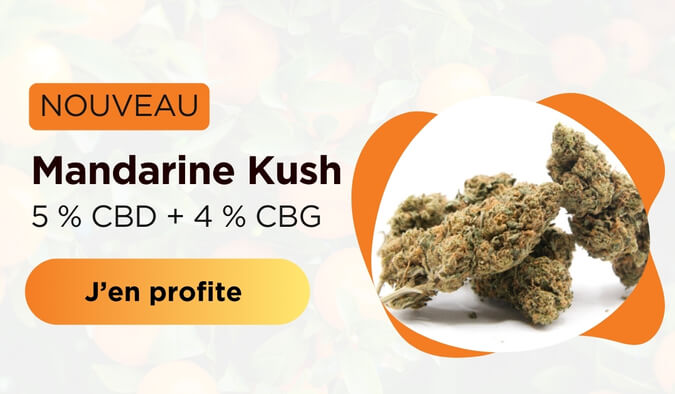 mandarine kush cbd shop